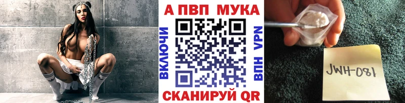Как найти наркотики Суджа Псилоцибиновые грибы  СК  ГАШ  Мефедрон  Cocaine 