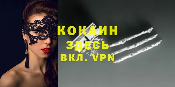 шишки Баксан