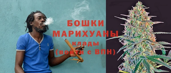 шишки Баксан