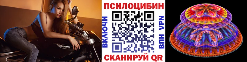 как найти Суджа mega вход Галлюциногенные грибы мицелий